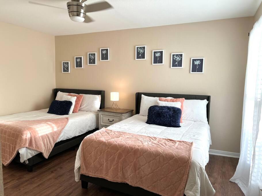 Lovely 2 Bedroom/2 Bath Houston, Heights/Galleria Zewnętrze zdjęcie